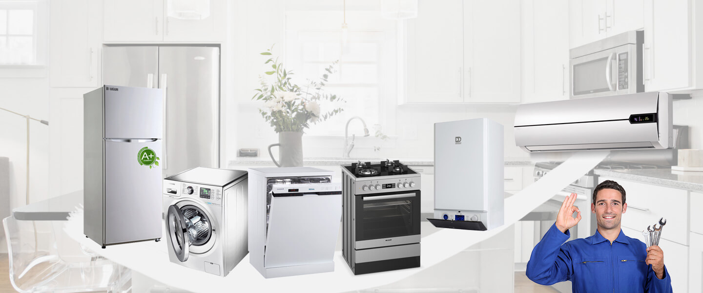 Çiçekdağı Vaillant Servisi